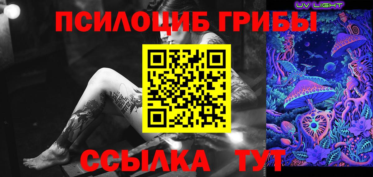 Тара  Псилоцибиновые грибы Psilocybe  Вход с VPN 